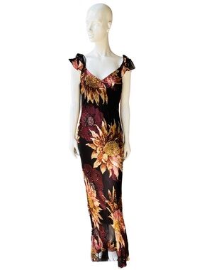 Vintage Longline Floor Length Whimsigoth Fairycore Dress